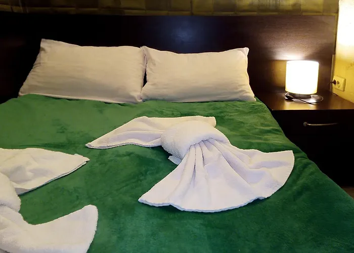 Lion's Bridge 1 - Center Sofia